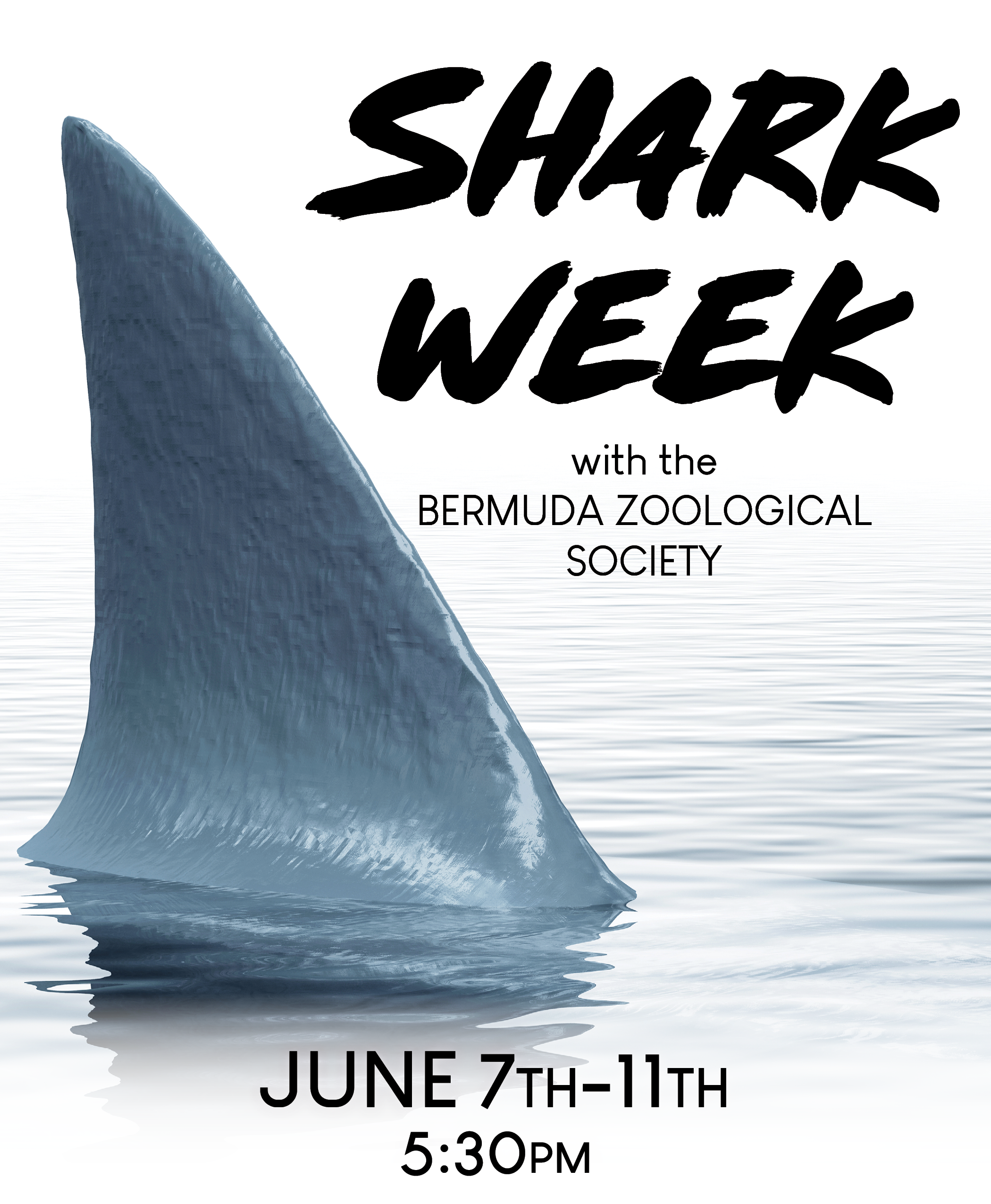 Shark Week Press Image.png